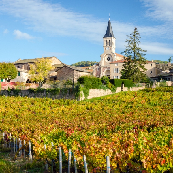 France: Vineyards of Beaujolais 17