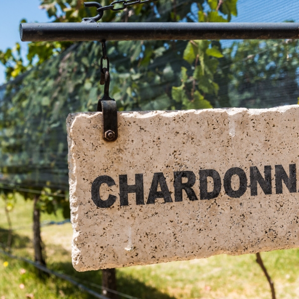 France: Vineyards of Beaujolais 27