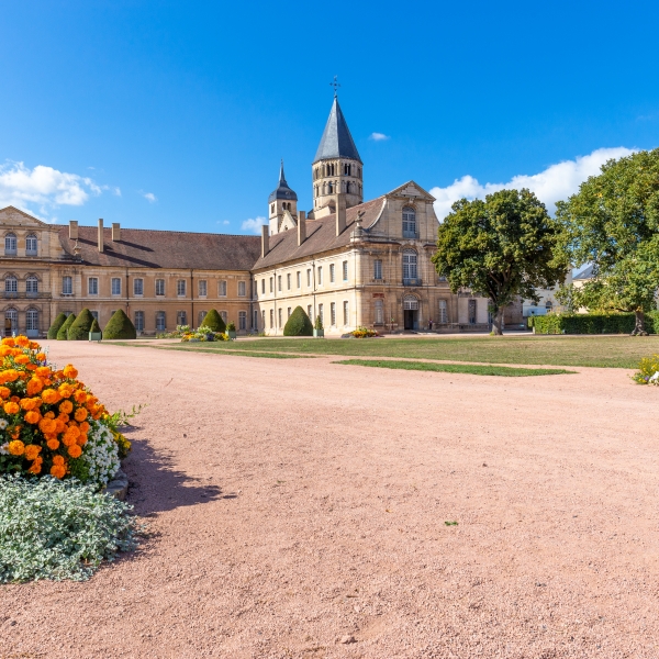 France: Vineyards of Beaujolais 2