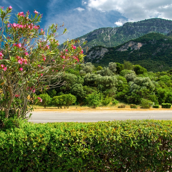 Greece: Sparta, Monemvasia & the Peloponnesian Peninsula 19