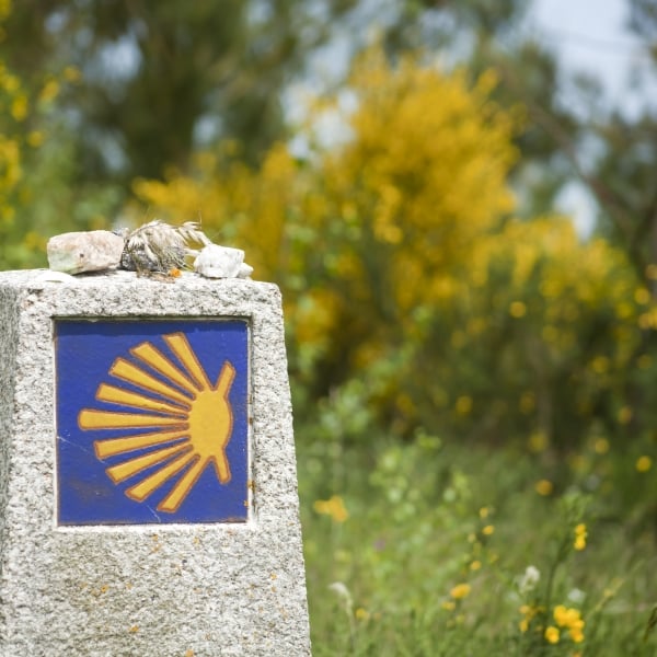 Spain & Portugal: Coastal Camino de Santiago 6