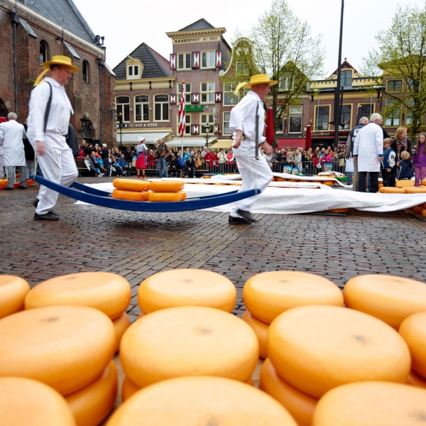 The Netherlands: Holland’s Golden Age Towns & the North Sea 8