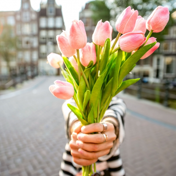 The Netherlands Bike & Boat: Springtime in Holland, Aboard the Lena Maria 7