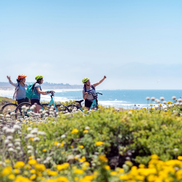 California: Napa, Dry Creek Valley & The Pacific Coast 11