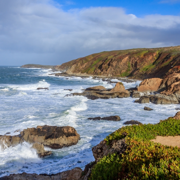 California: Napa, Dry Creek Valley & The Pacific Coast 4