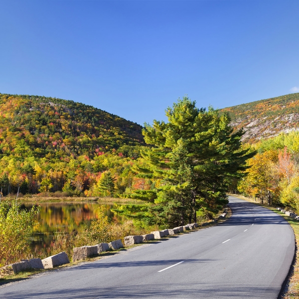 Maine: Acadia National Park 6