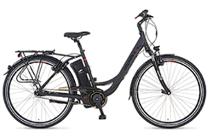 Electric-Assisted Bicycle (E-bike) (South Africa only)