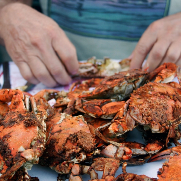 Maryland: Eastern Shore & Chesapeake Bay 9