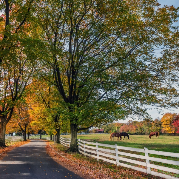 Maryland: Eastern Shore & Chesapeake Bay 17