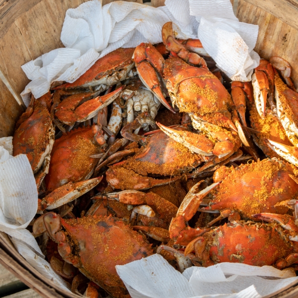 Maryland: Eastern Shore & Chesapeake Bay