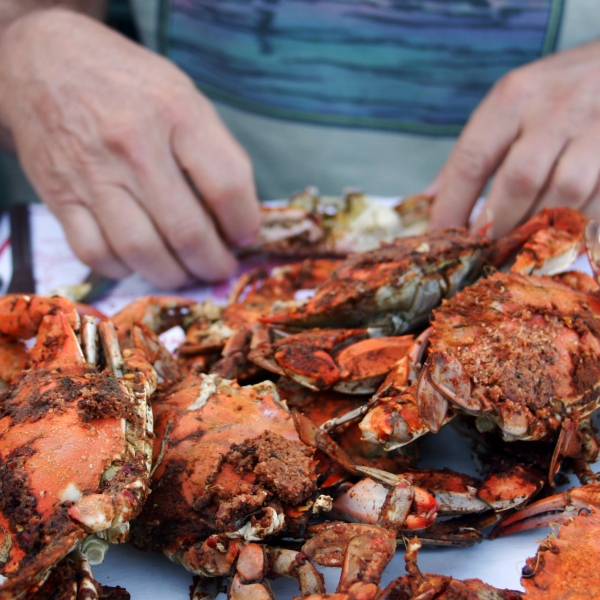 Maryland: Eastern Shore & Chesapeake Bay 1