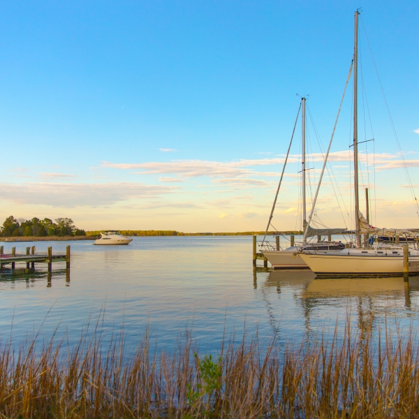 Maryland: Eastern Shore & Chesapeake Bay 4