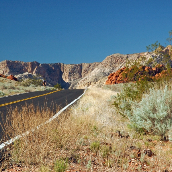 Utah: Bryce Canyon & Zion National Parks 12