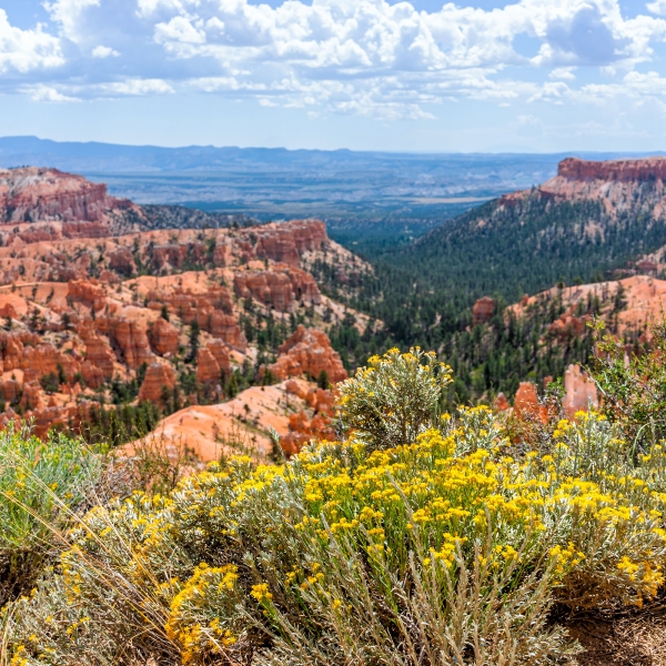 Utah: Bryce Canyon & Zion National Parks 19