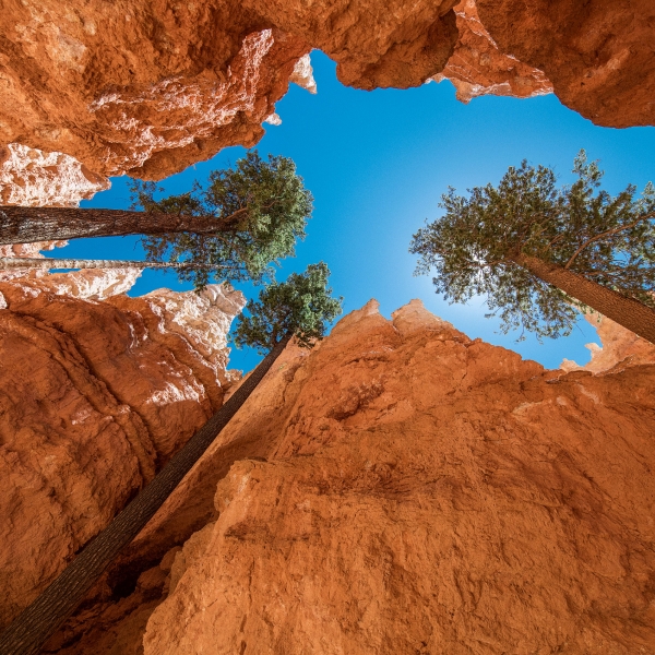 Utah: Bryce Canyon & Zion National Parks 20
