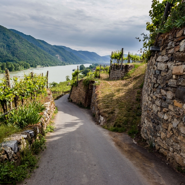 Germany & Austria: The Danube River 13