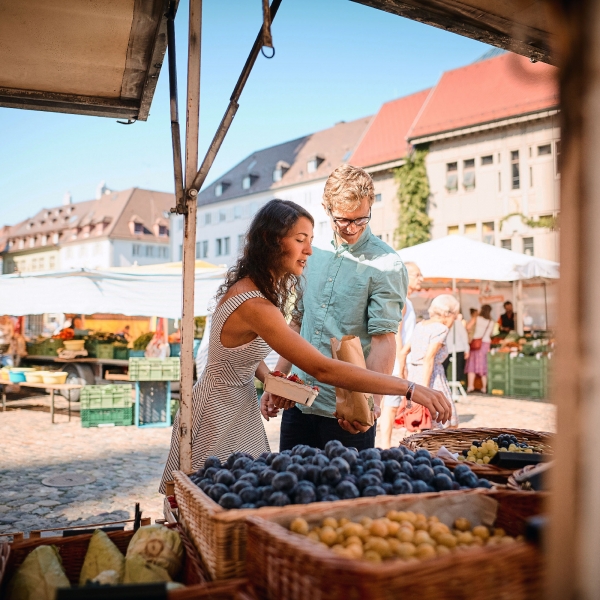 Germany & Austria: The Danube River 16