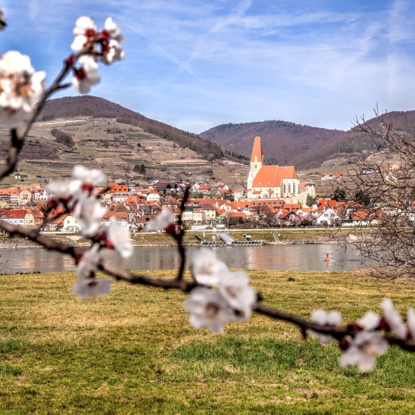 Germany & Austria: The Danube River 2