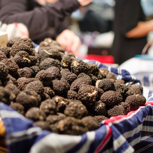A large pile of truffles in a lined basket on a blue table in Piedmont, Italy