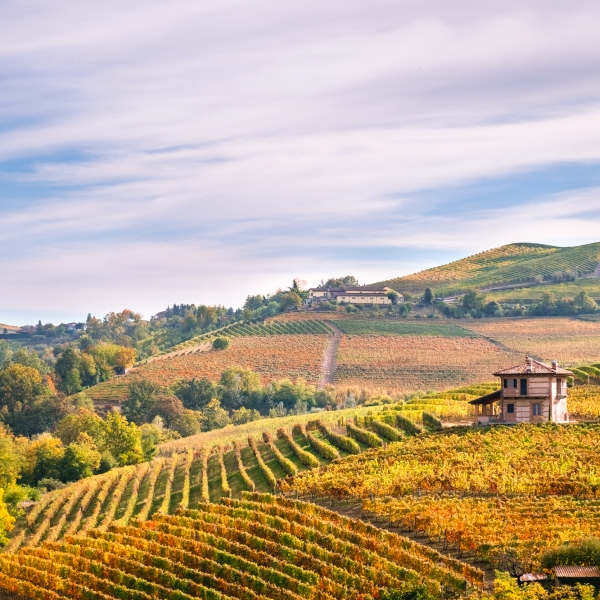 Italy: Piedmont, Langhe & the Italian Riviera 7