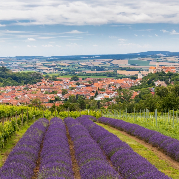 Poland, Czech Republic & Slovakia: Krakow to Vienna 5