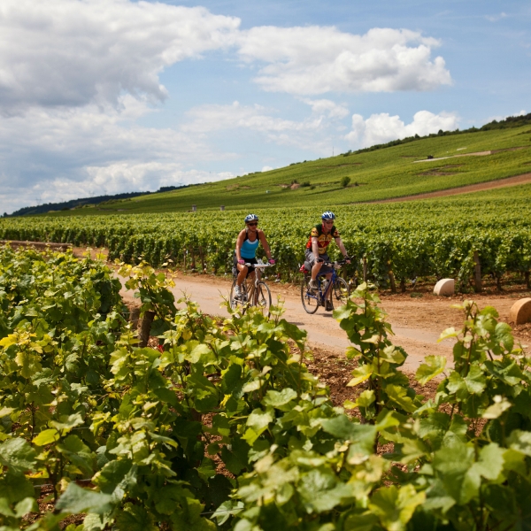 France: The Burgundy Wine Region & Dijon
