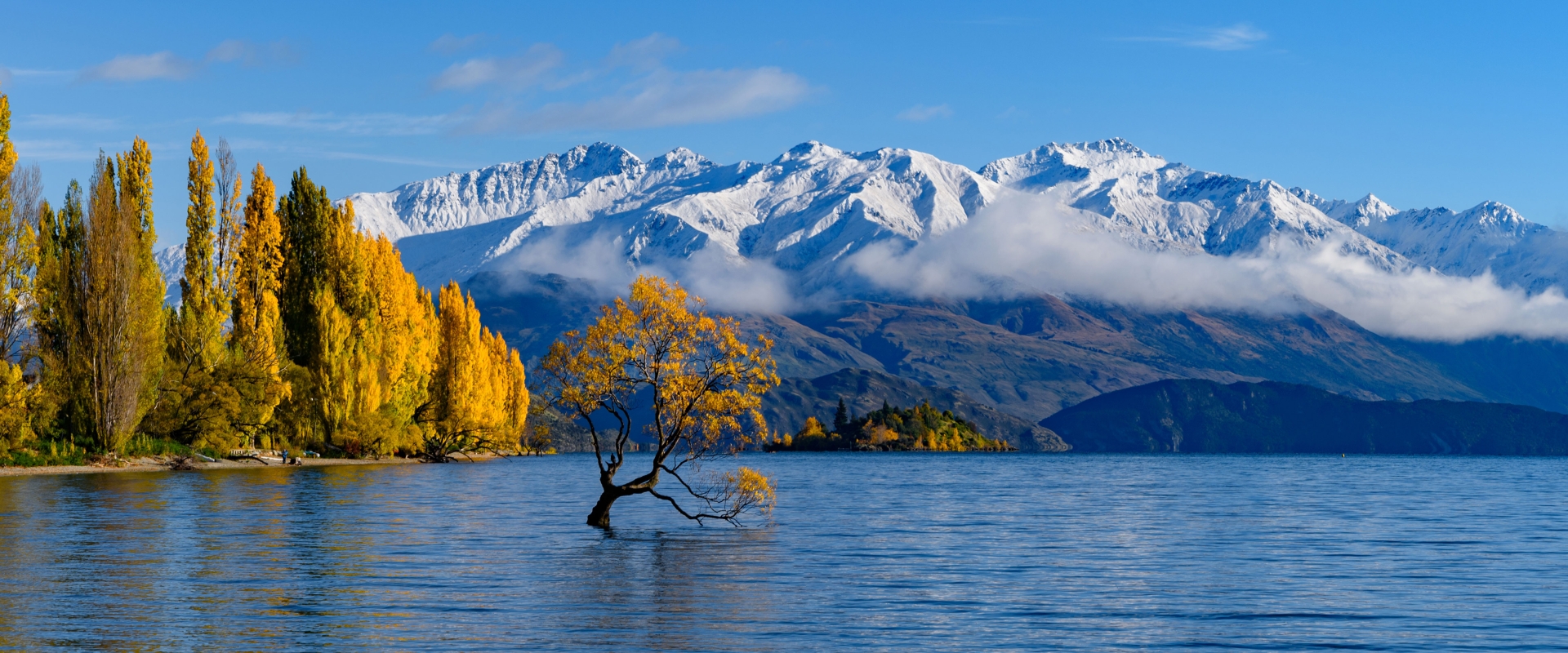 An Insider’s Guide to New Zealand