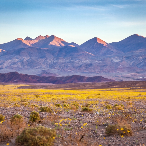California & Nevada: Death Valley National Park 14