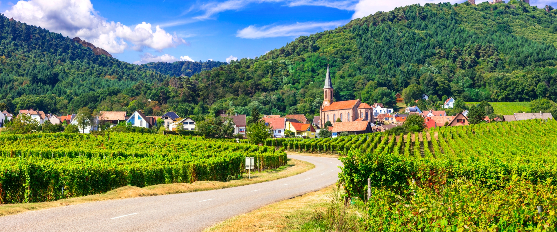 Bragging Rights: Catch the Thrills and Spills of the Tour De France in Person!