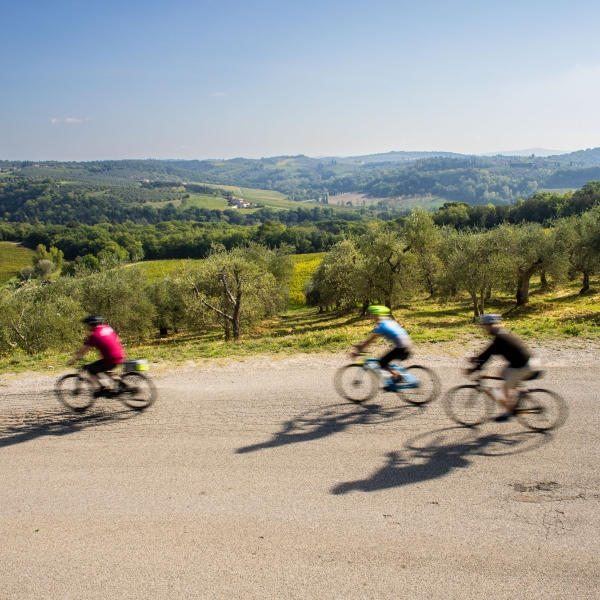 Italy: Tuscany, Chianti & Marina di Castagneto 15