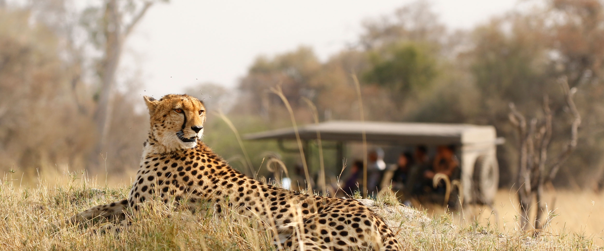 Discover Ubuntu While Cycling South Africa 1