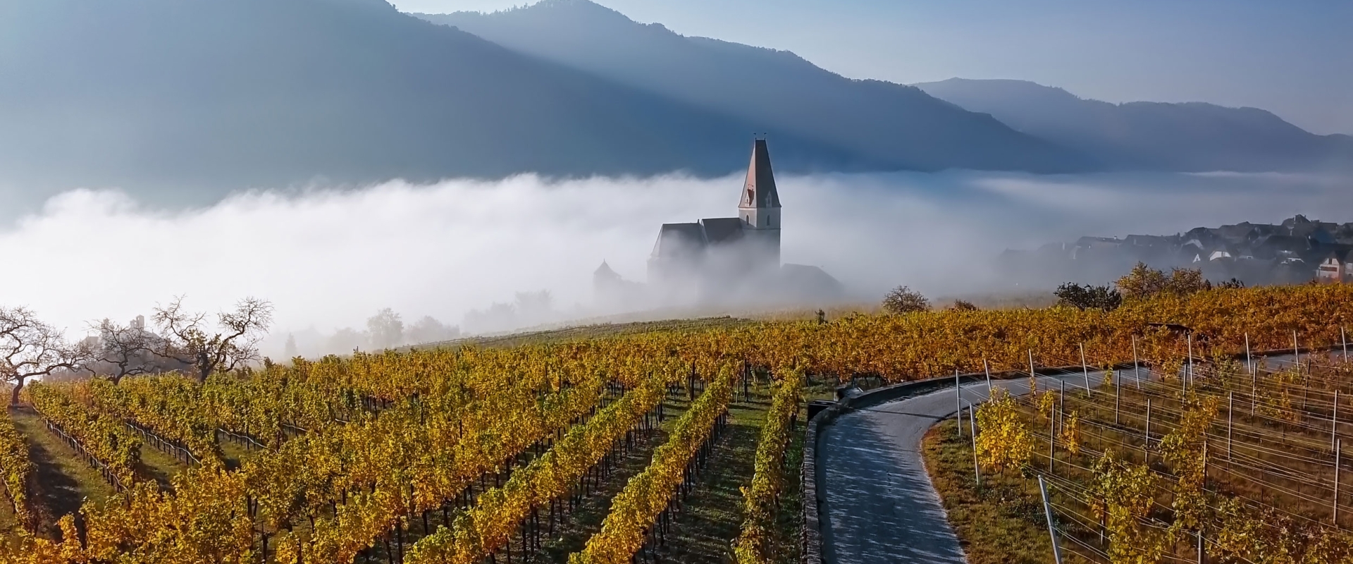 These Vacations Sold Out Last Year—Don’t Miss Out in 2024!