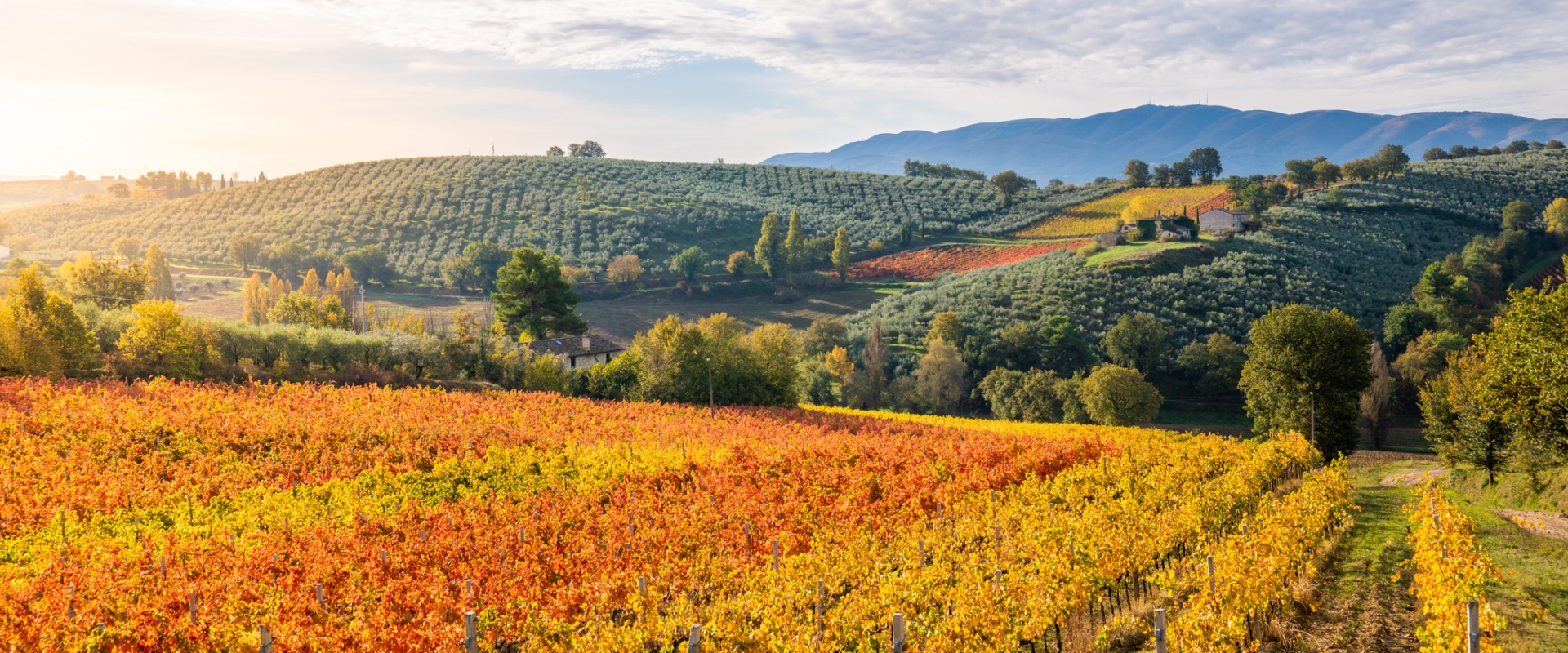 Think You’ve Seen Italy? Don’t Miss Out on Umbria! 5