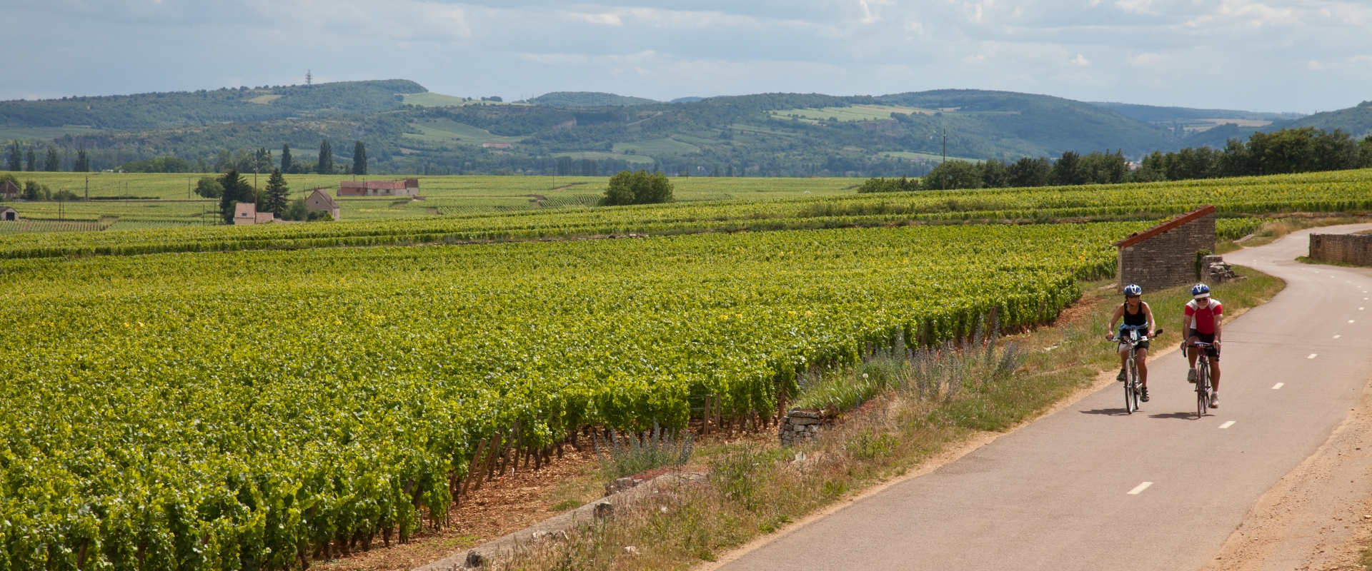The Magic of Burgundy Through the Eyes of A VBT Guest