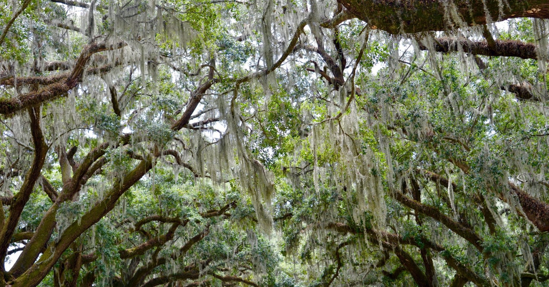 Sustainable Travel 7