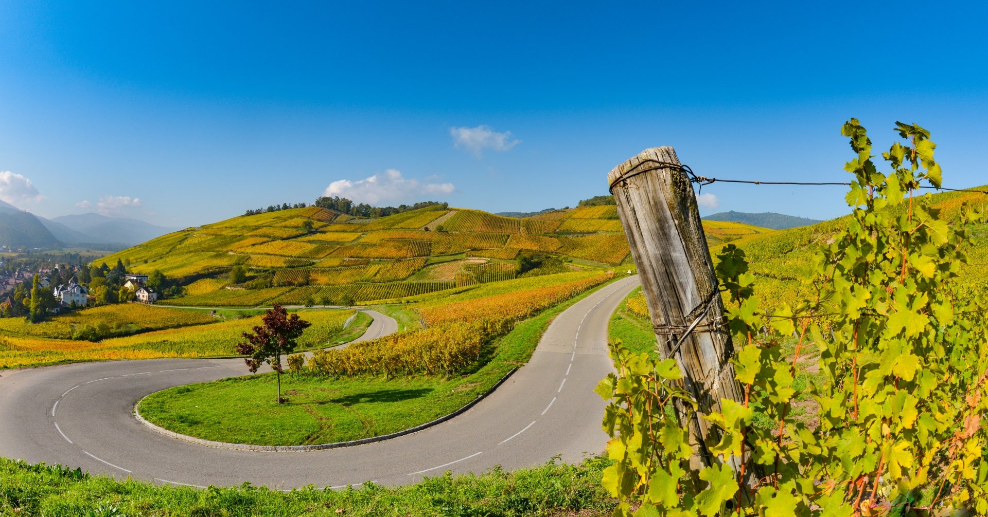 Wine Road, Vineyards of Alsace in France, Europe