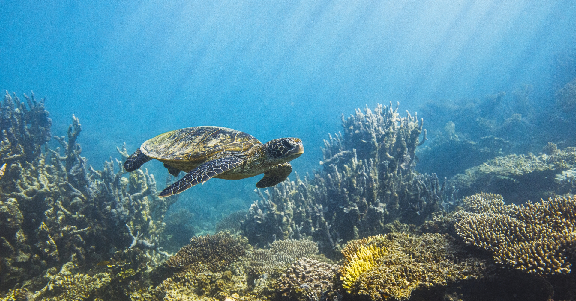 Discovery Australia 14